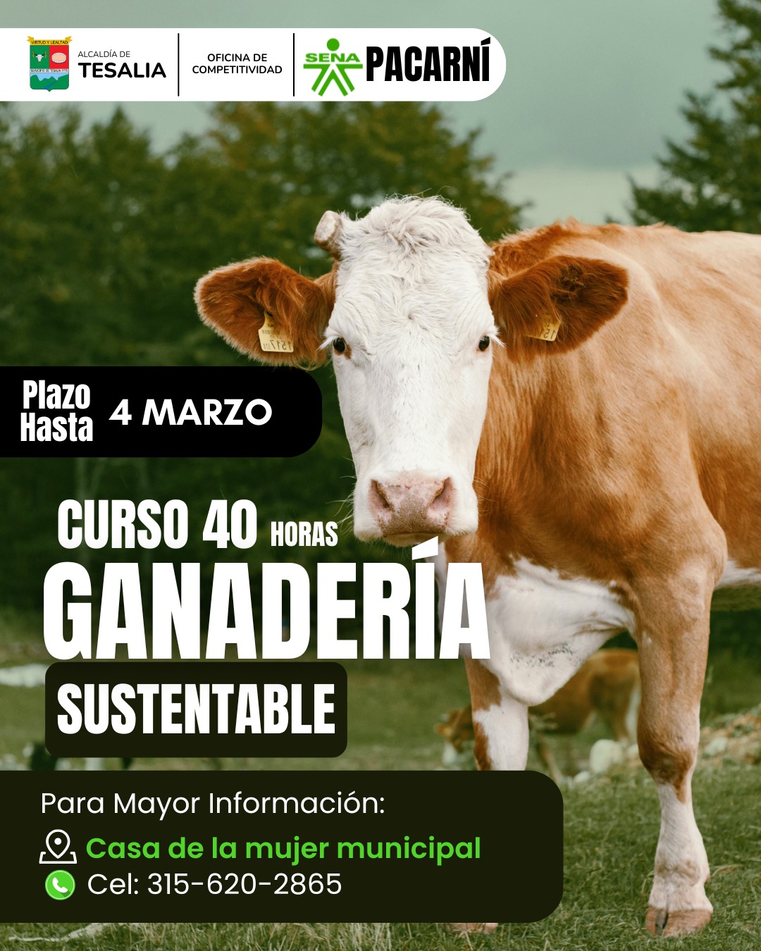 Noticia - 🌱 CURSO DE GANADERÍA SUSTENTABLE PARA FORTALECER EL CAMPO 🚜