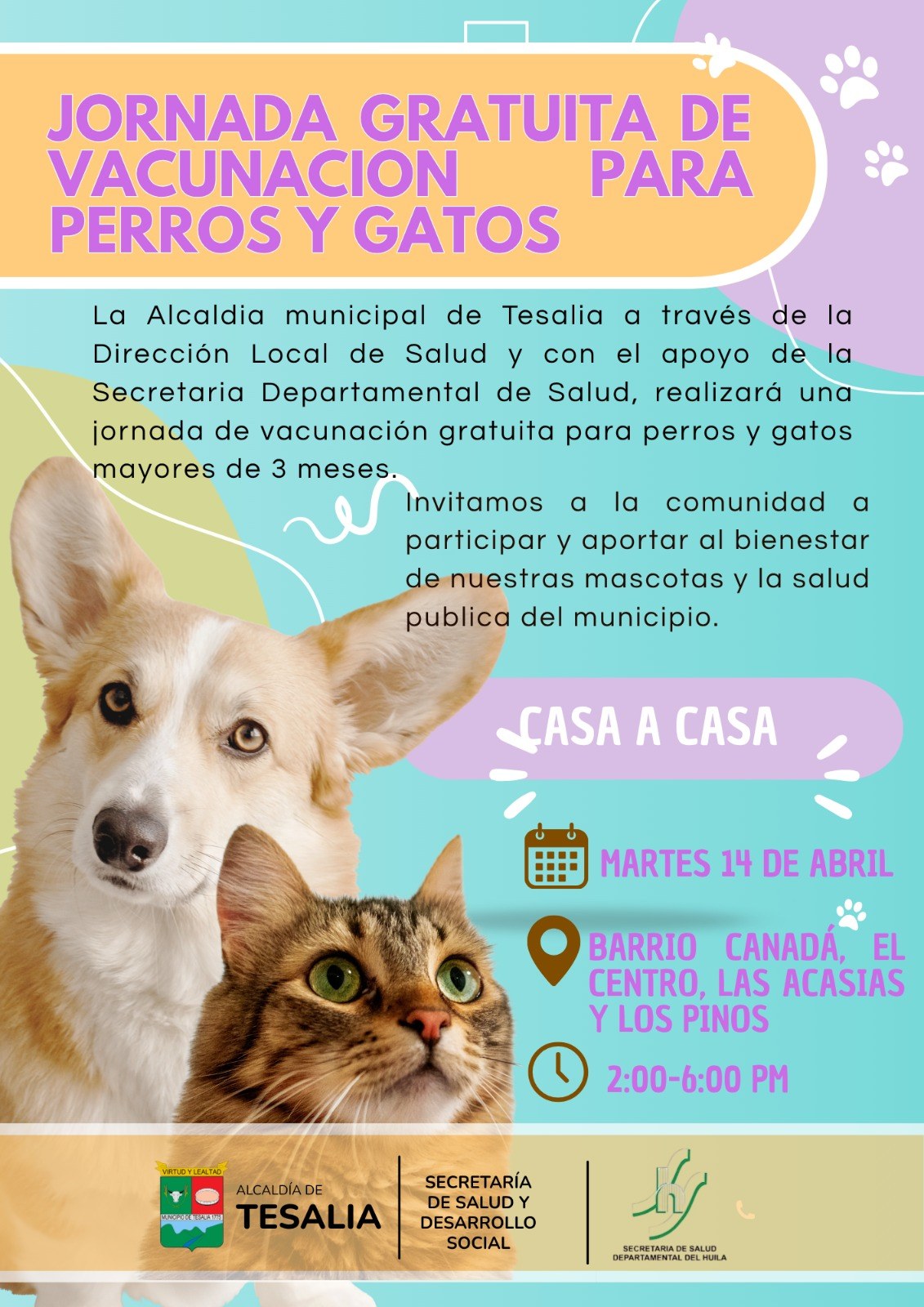 Noticia - 🐶🐱💉 JORNADA GRATUITA DE VACUNACIÓN PARA MASCOTAS 💉🐱🐶