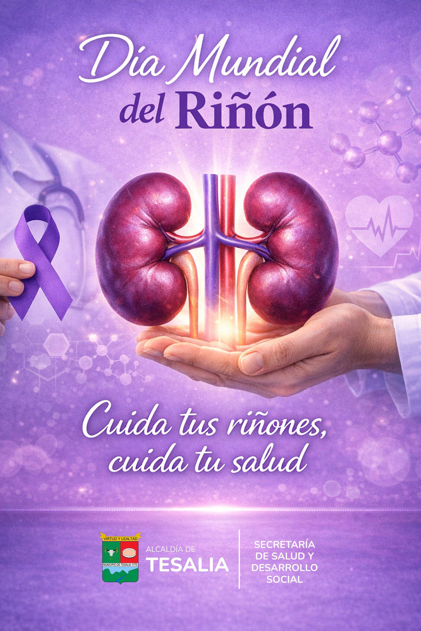 Noticia - 💜🩺 DÍA MUNDIAL DEL RIÑÓN